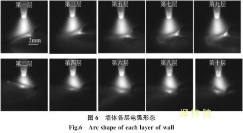 316Lֺĵ绡Է